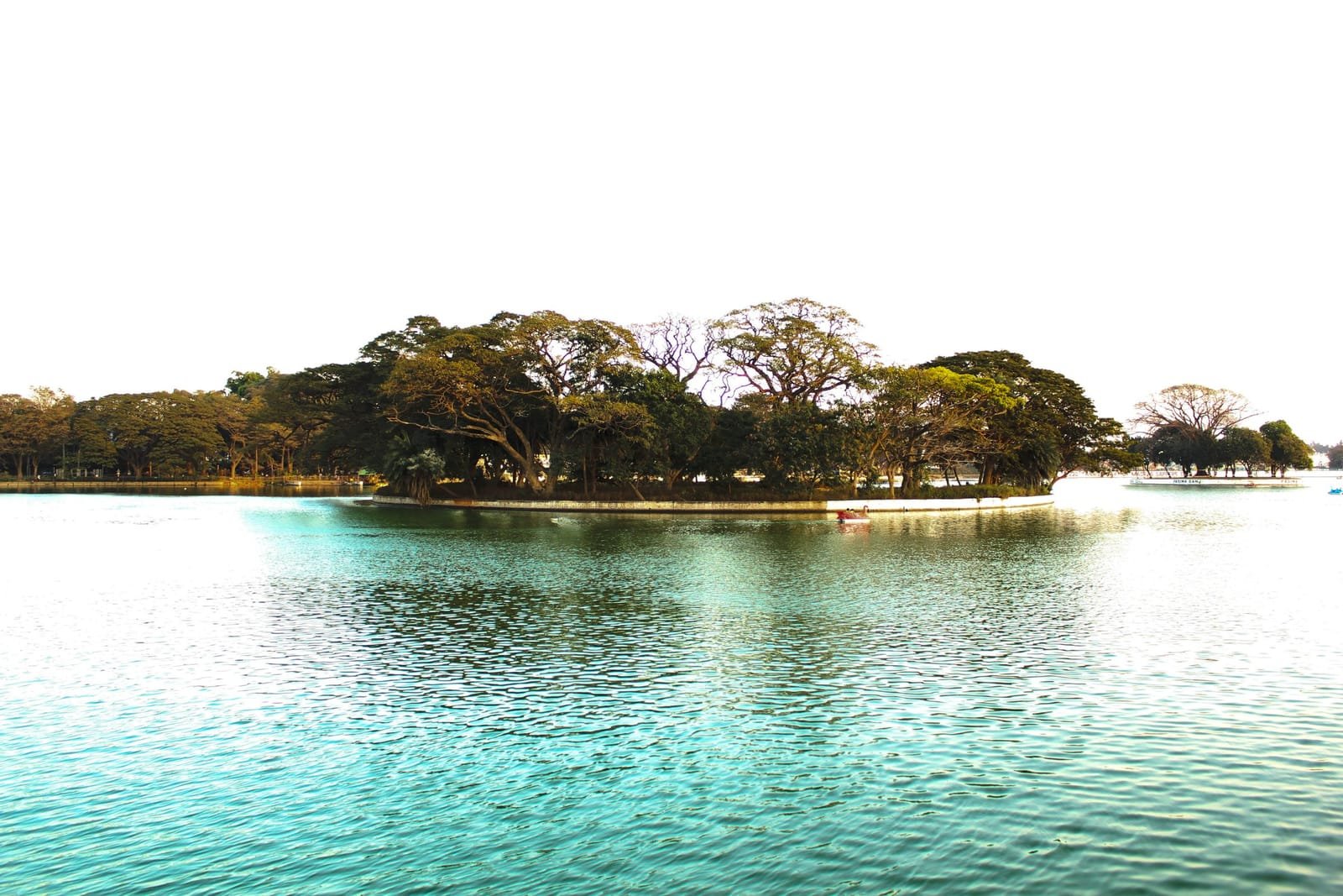 Ulsoor Lake, Bengaluru, at first light